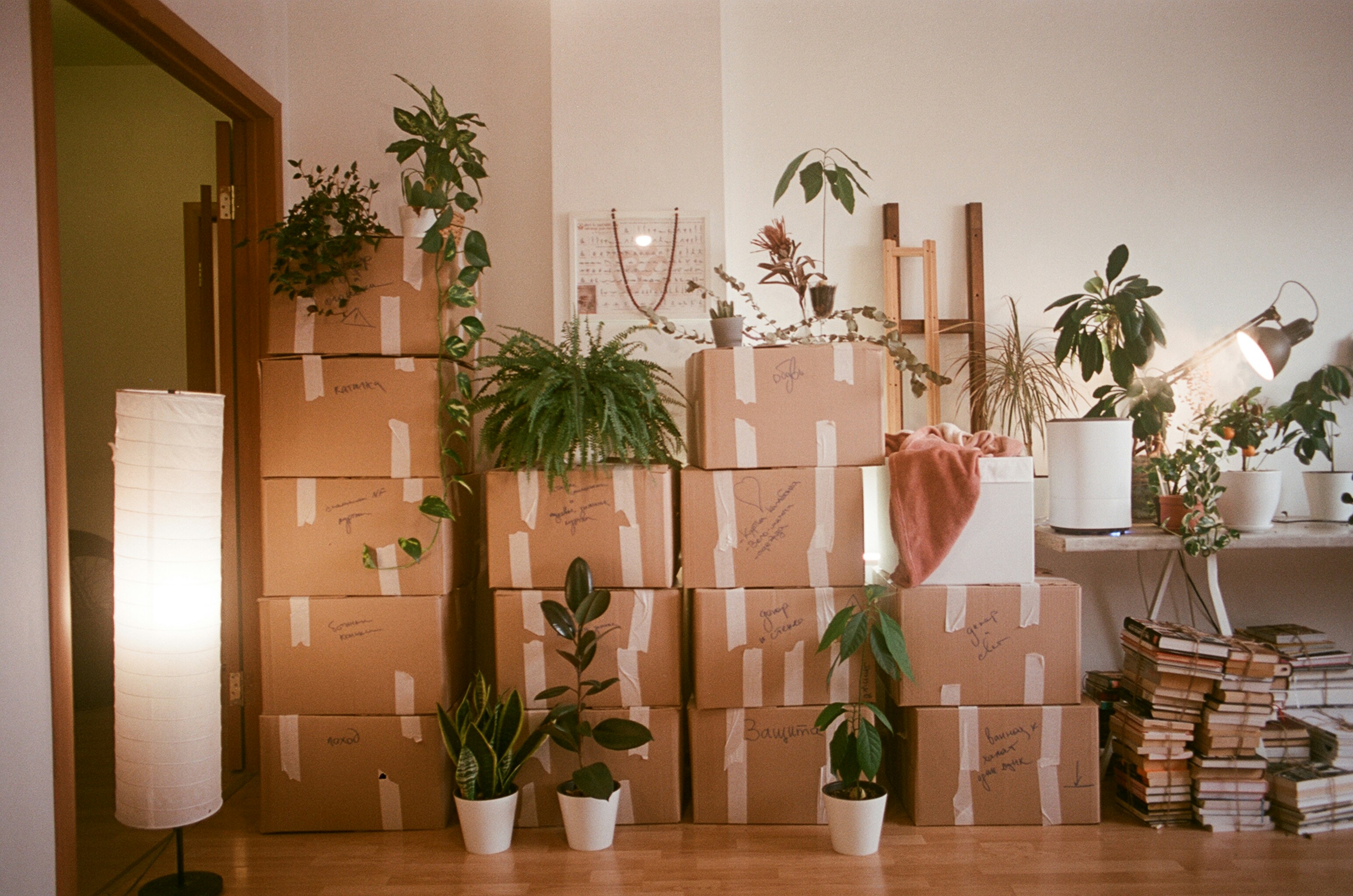 Moving boxes packed and ready — Queens Move Co. full packing service NYC